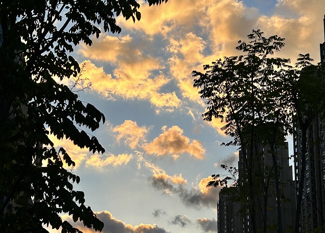 澳大利亞公司注冊申請提交后，信息還能修改嗎?