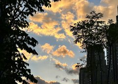 2025上半年，中國企業(yè)出海刷新全球副本：更猛、更強、更聰明